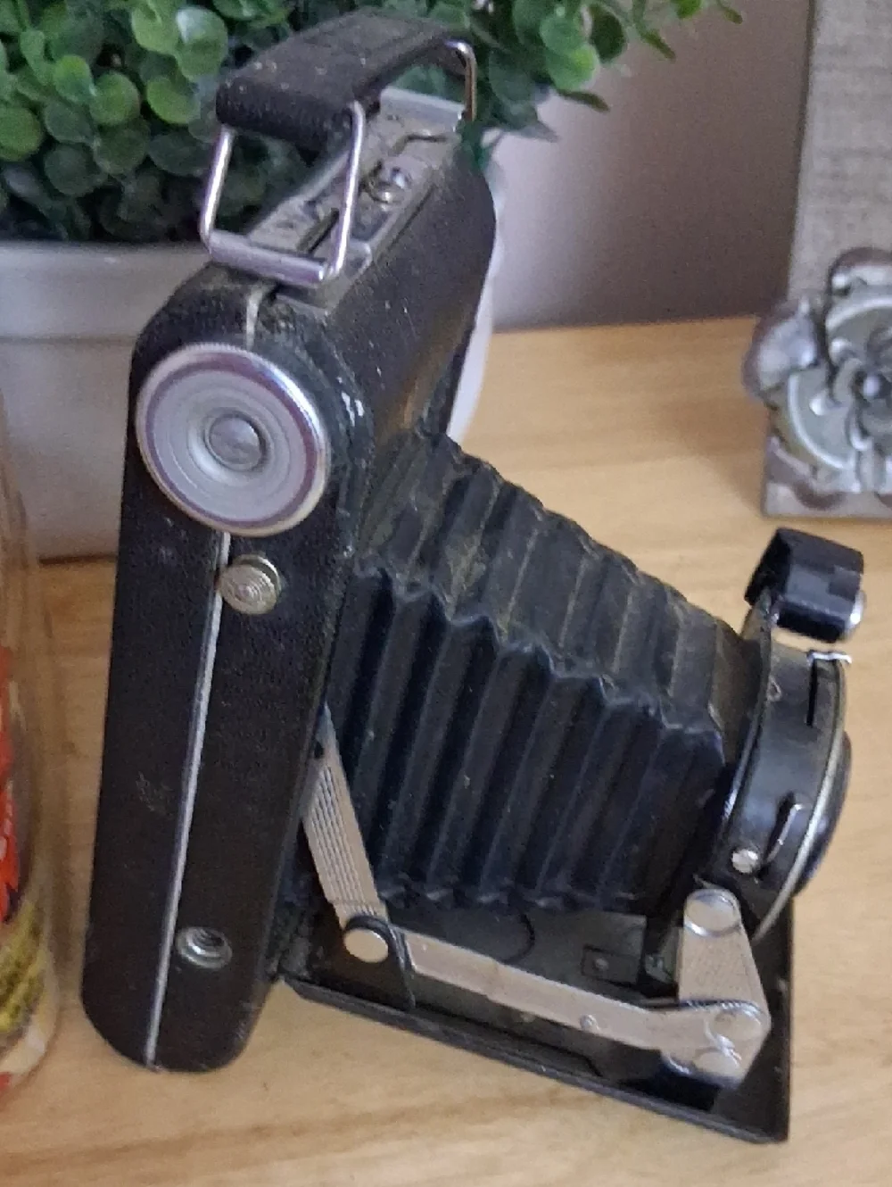 Vintage Cameras Decor